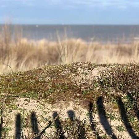 Appartement Gezellig Liva